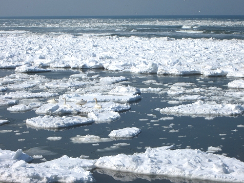 流氷　北見市常呂町　2018/2/5